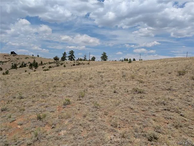 Coyotero Trail Hartsel, CO 80449