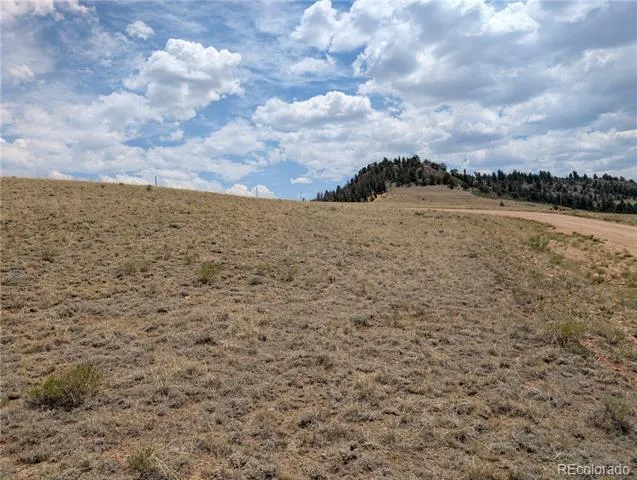 Coyotero Trail Hartsel, CO 80449