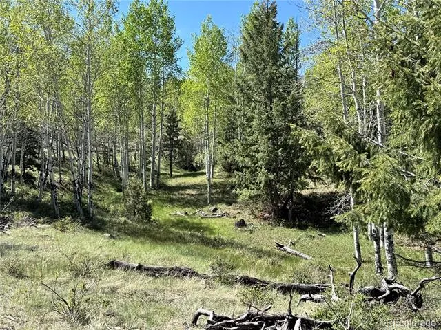 Dilley Road Westcliffe, CO 81252