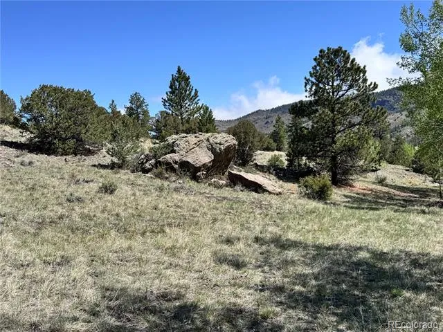 Dilley Road Westcliffe, CO 81252