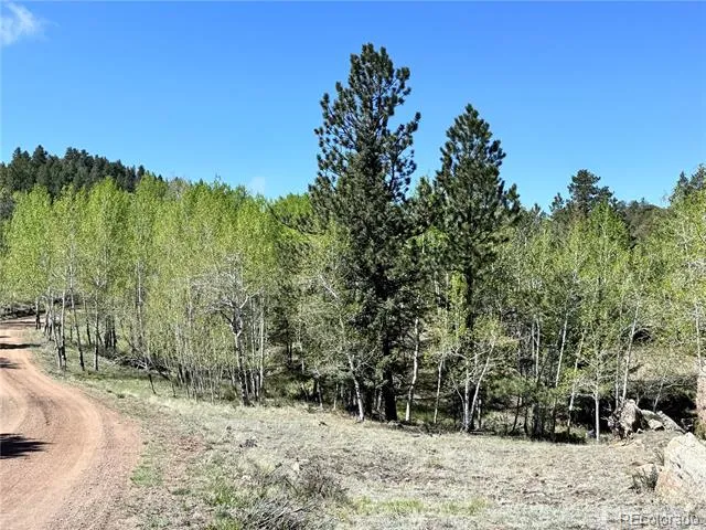 Dilley Road Westcliffe, CO 81252