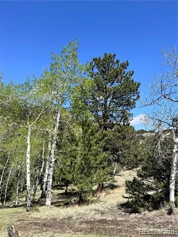 Dilley Road Westcliffe, CO 81252