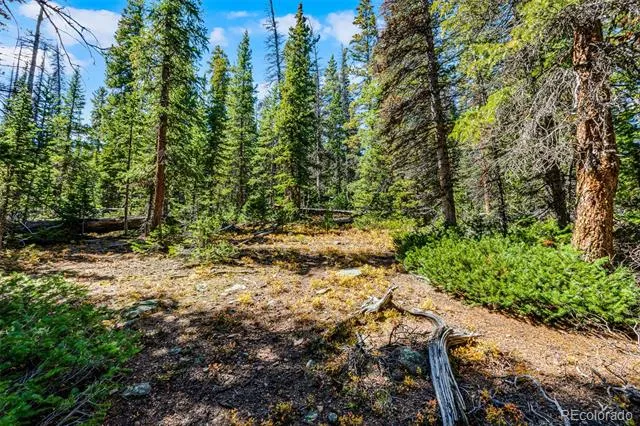 112 Sunshine Drive Fairplay, CO 80440