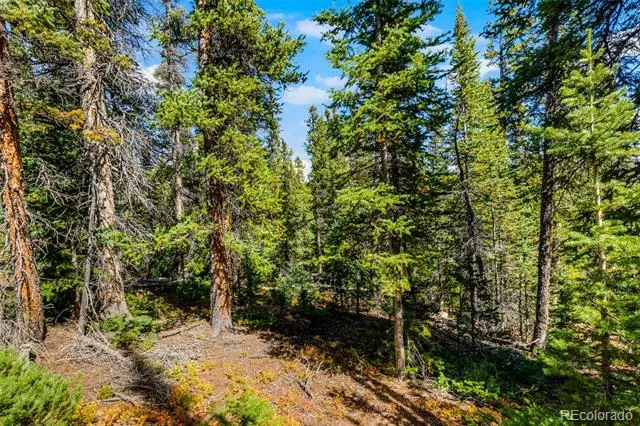 112 Sunshine Drive Fairplay, CO 80440