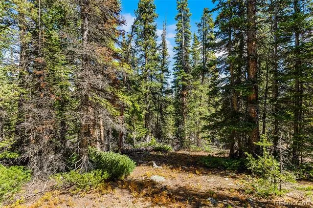 112 Sunshine Drive Fairplay, CO 80440