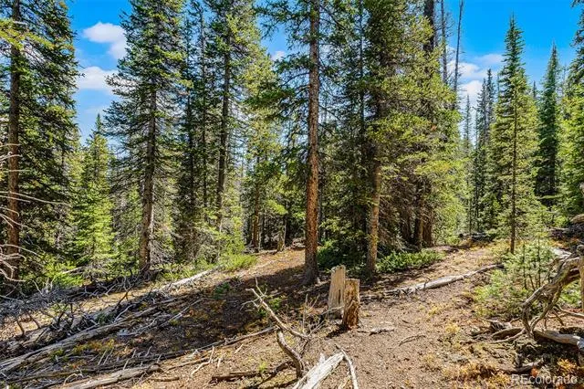 112 Sunshine Drive Fairplay, CO 80440