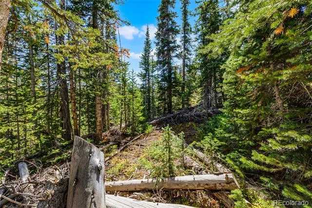 112 Sunshine Drive Fairplay, CO 80440