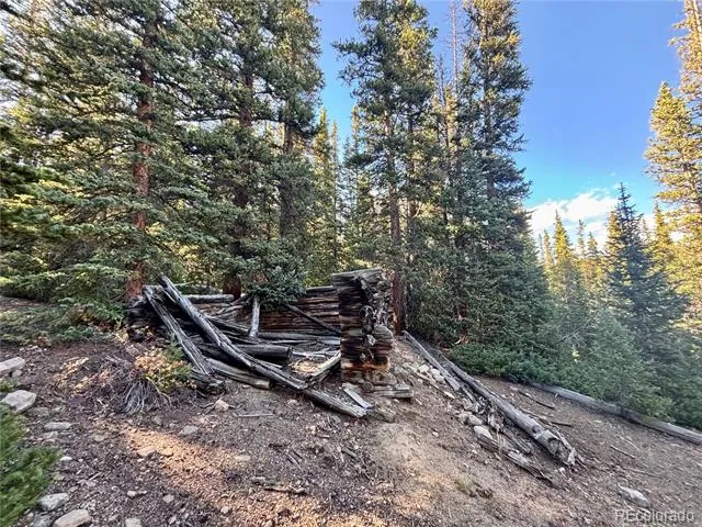 112 Sunshine Drive Fairplay, CO 80440