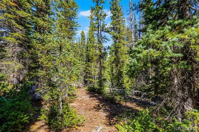 112 Sunshine Drive Fairplay, CO 80440
