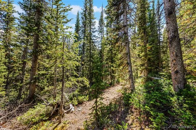 112 Sunshine Drive Fairplay, CO 80440