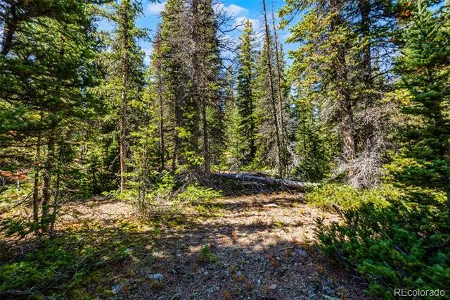 112 Sunshine Drive Fairplay, CO 80440