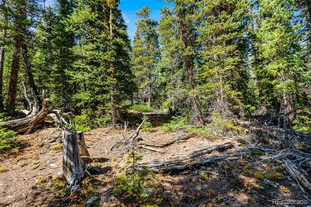 112 Sunshine Drive Fairplay, CO 80440