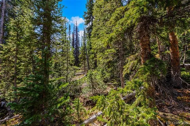 112 Sunshine Drive Fairplay, CO 80440