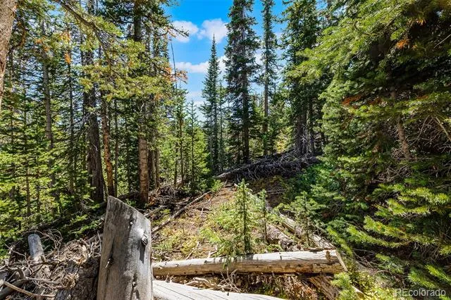 112 Sunshine Drive Fairplay, CO 80440
