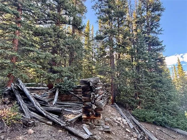 112 Sunshine Drive Fairplay, CO 80440