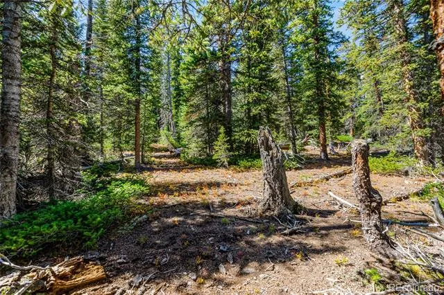 112 Sunshine Drive Fairplay, CO 80440