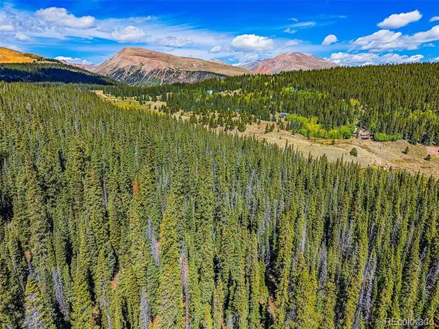 112 Sunshine Drive Fairplay, CO 80440