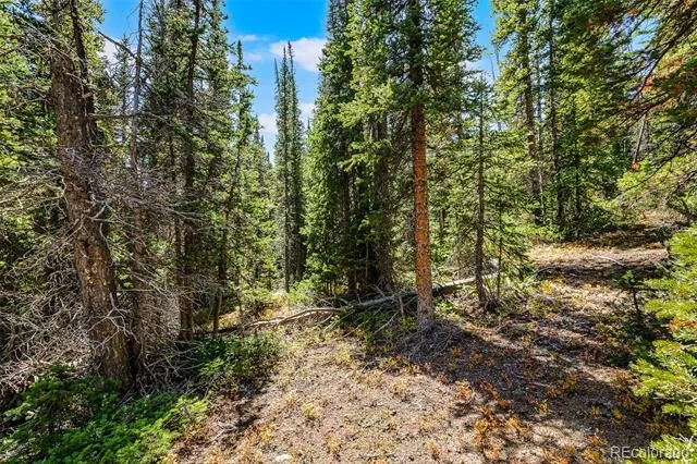 112 Sunshine Drive Fairplay, CO 80440