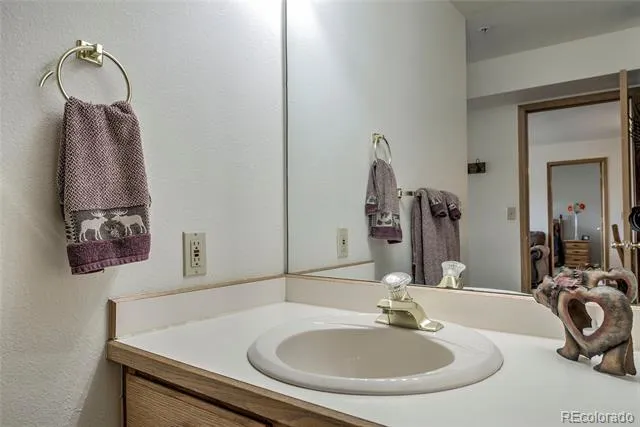 1610 Lakeview Terrace #A101 Frisco, CO 80443