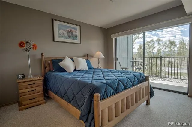 1610 Lakeview Terrace #A101 Frisco, CO 80443