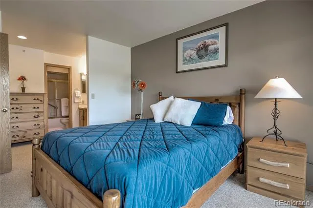 1610 Lakeview Terrace #A101 Frisco, CO 80443