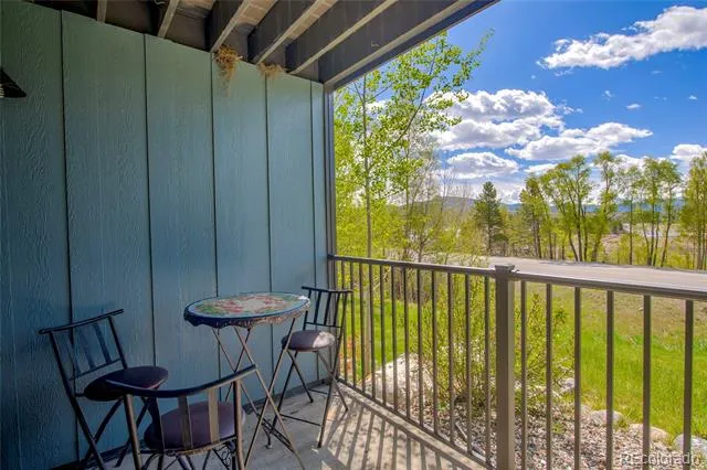 1610 Lakeview Terrace #A101 Frisco, CO 80443