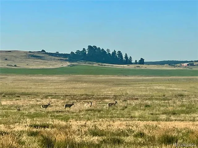 Craven Lot 1 Elbert, CO 80106