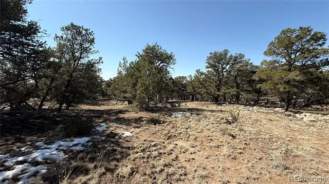 1872 Rockyview Way Crestone, CO 81131