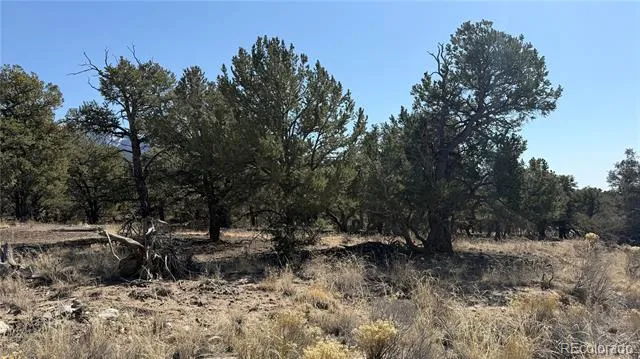1872 Rockyview Way Crestone, CO 81131