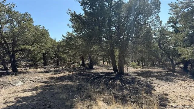 1872 Rockyview Way Crestone, CO 81131