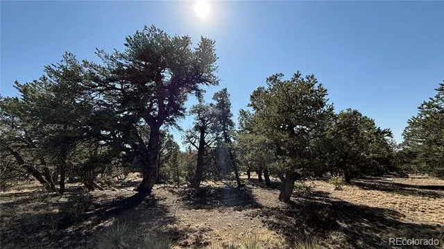 1872 Rockyview Way Crestone, CO 81131