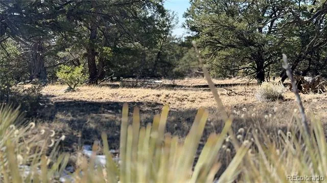 1872 Rockyview Way Crestone, CO 81131