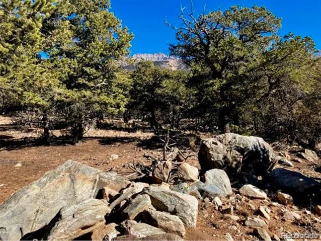 1872 Rockyview Way Crestone, CO 81131