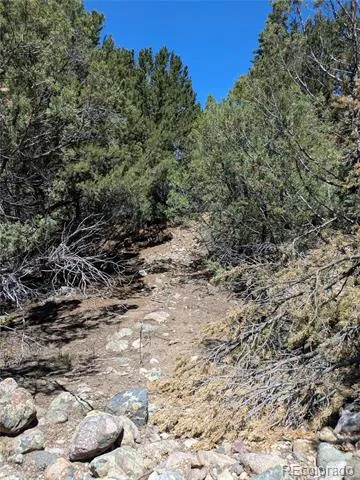 1704 Willow Creek Way Crestone, CO 81131