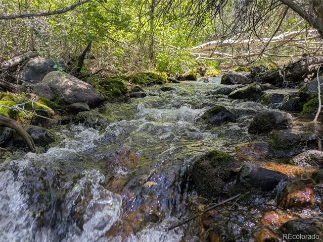 1704 Willow Creek Way Crestone, CO 81131