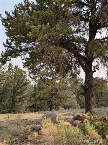 1704 Willow Creek Way Crestone, CO 81131