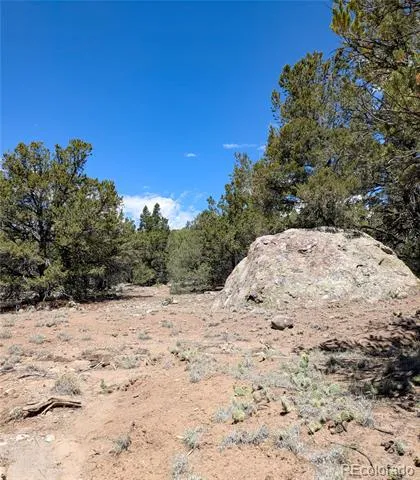 1704 Willow Creek Way Crestone, CO 81131