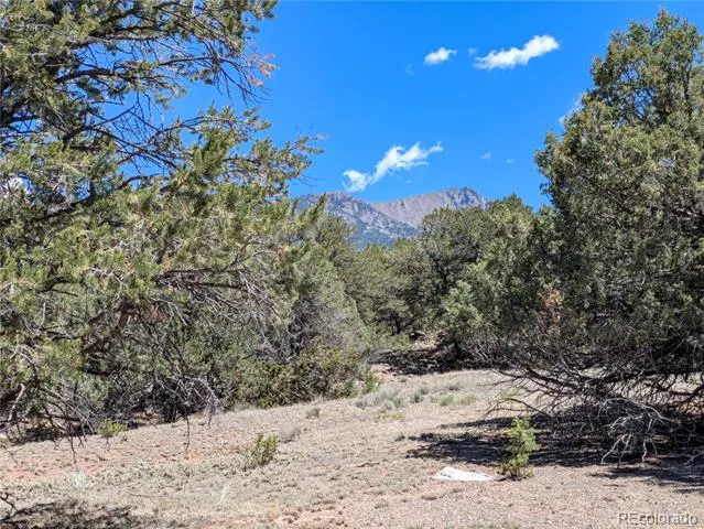 1704 Willow Creek Way Crestone, CO 81131