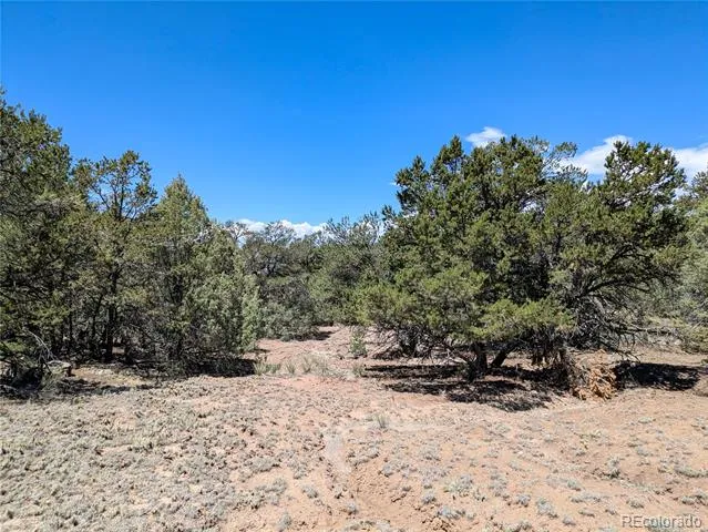 1704 Willow Creek Way Crestone, CO 81131
