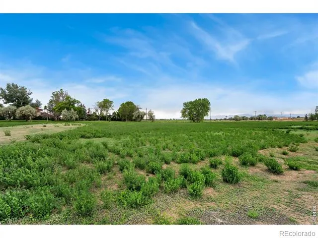 1544 Hauck Meadows Drive Frederick, CO 80504