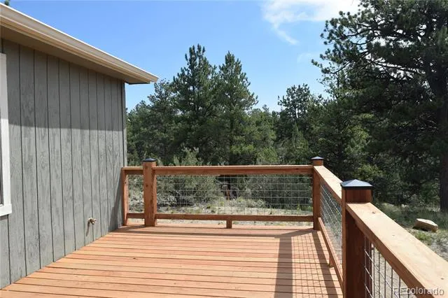 1651 Aspen Trail Hartsel, CO 80449