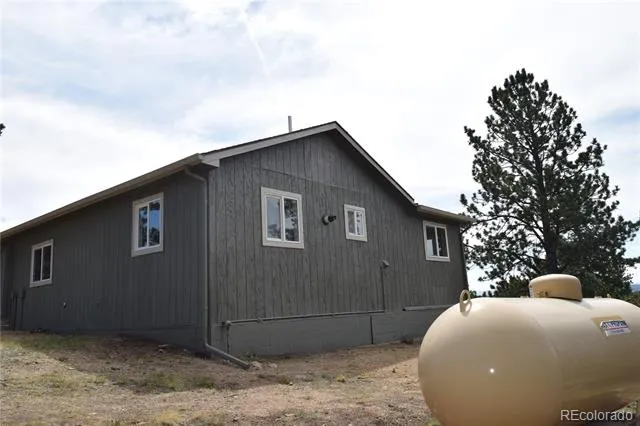 1651 Aspen Trail Hartsel, CO 80449