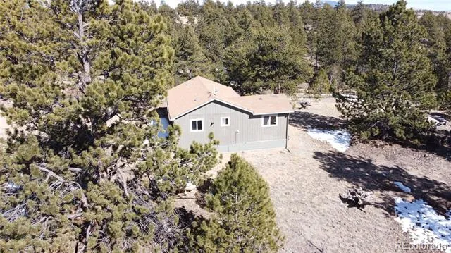 1651 Aspen Trail Hartsel, CO 80449