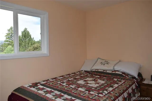 1651 Aspen Trail Hartsel, CO 80449