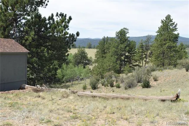 1651 Aspen Trail Hartsel, CO 80449