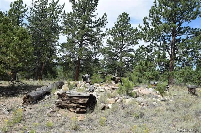 1651 Aspen Trail Hartsel, CO 80449
