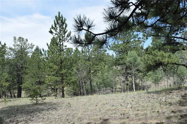 1651 Aspen Trail Hartsel, CO 80449