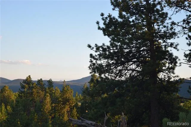 1651 Aspen Trail Hartsel, CO 80449