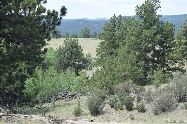 1651 Aspen Trail Hartsel, CO 80449