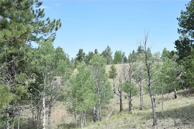 1651 Aspen Trail Hartsel, CO 80449